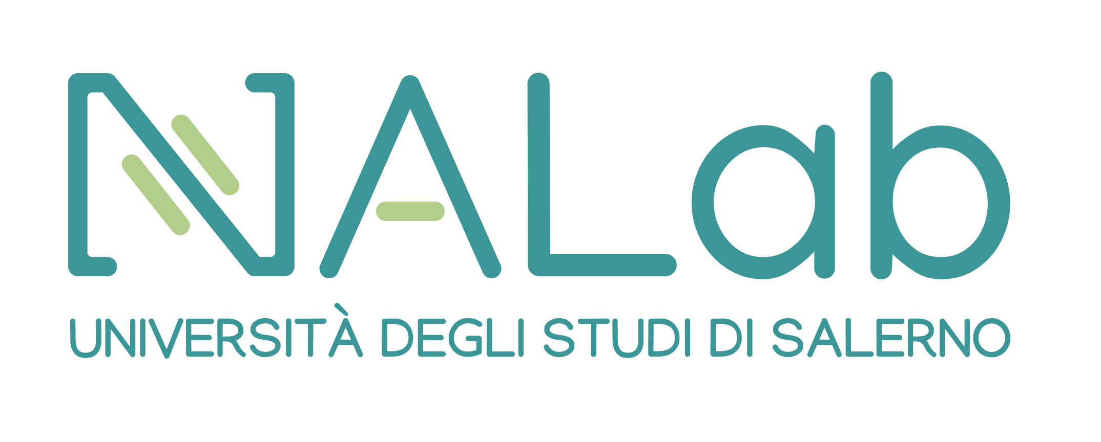 Numerical Analysis Laboratory logo
